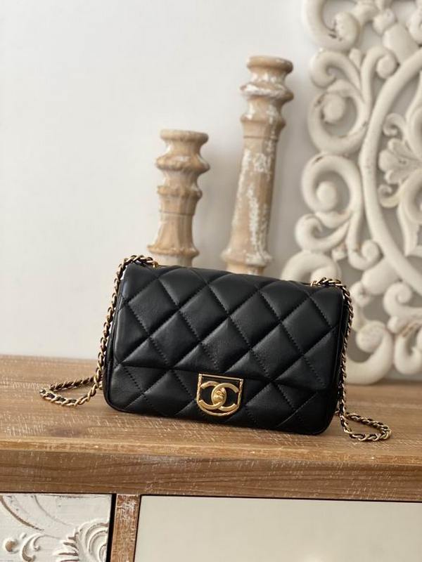 Chanel Handbags 193